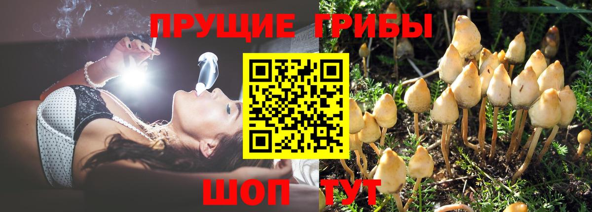 Галлюциногенные грибы Magic Shrooms  Вход с VPN  магазин    Избербаш 